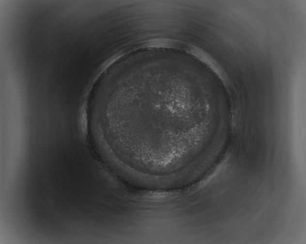 X0000100910829200807151137