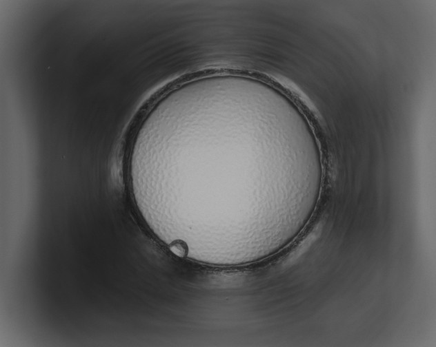 X0000100910830200807151137