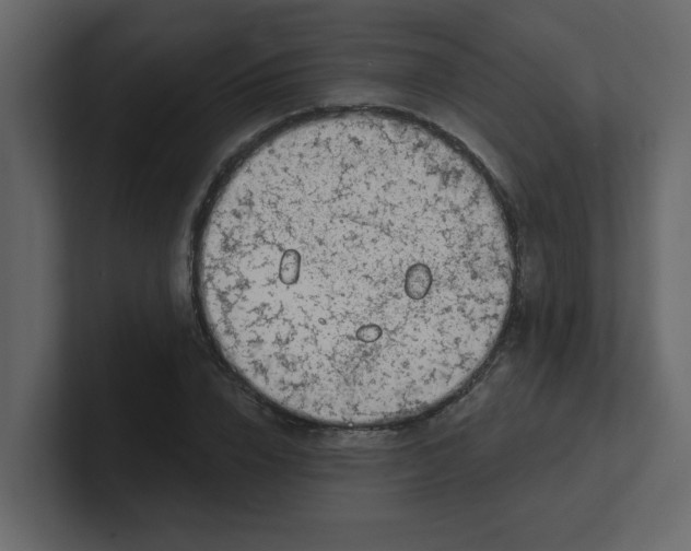 X0000100910832200807151137