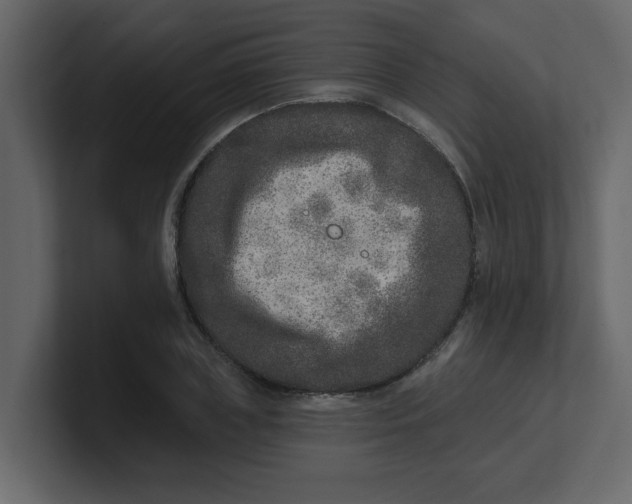 X0000100910835200807151137