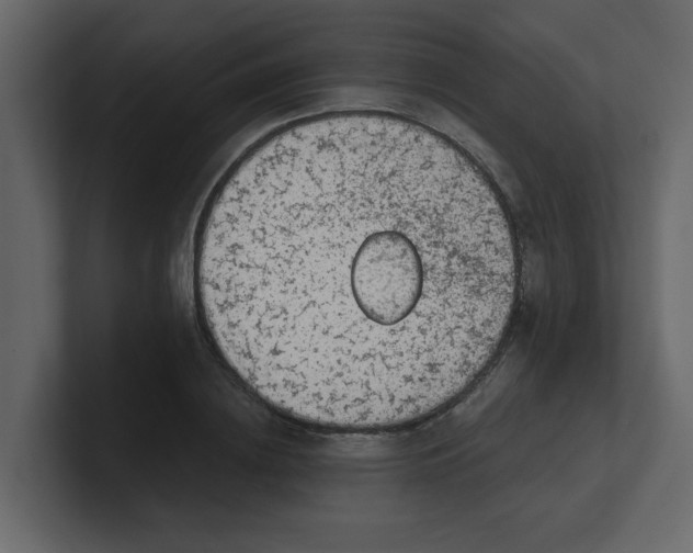 X0000100910836200807151137