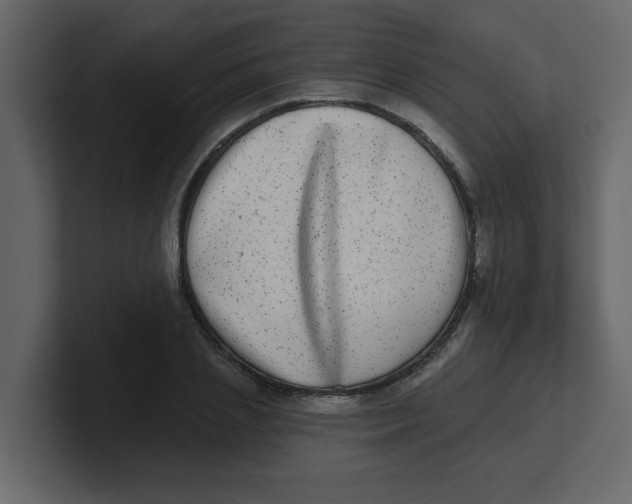 X0000100910837200807151137