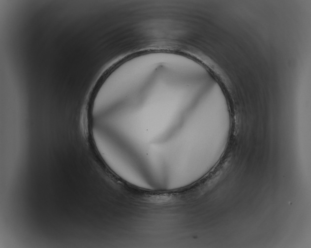 X0000100910838200807151137