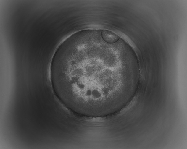 X0000100910839200807151137