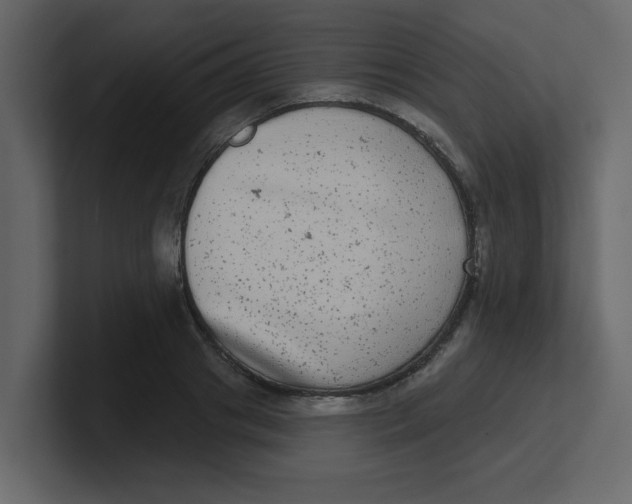 X0000100910841200807151137