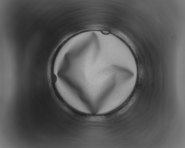 X0000100910843200807151137