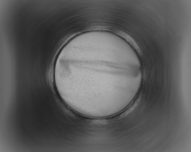 X0000100910844200807151137