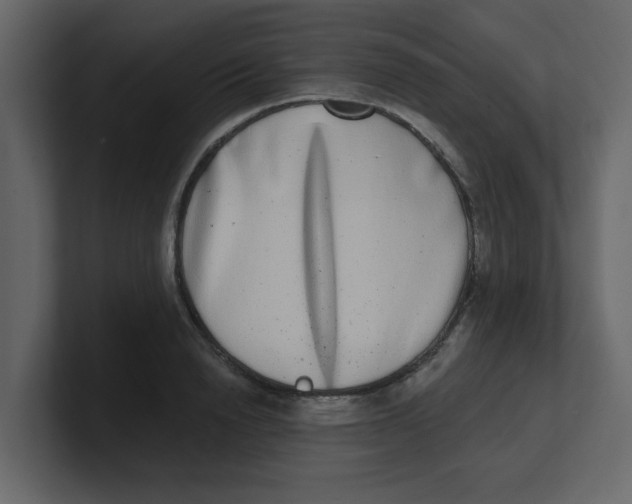 X0000100910846200807151137