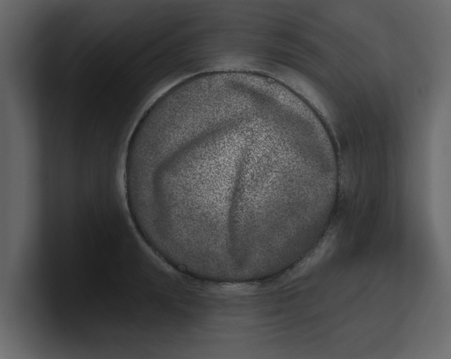 X0000100910847200807151137