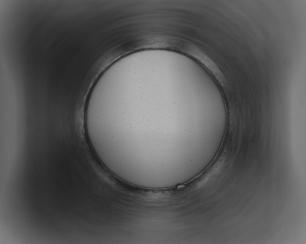 X0000100910850200807151137