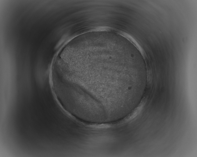 X0000100910851200807151137