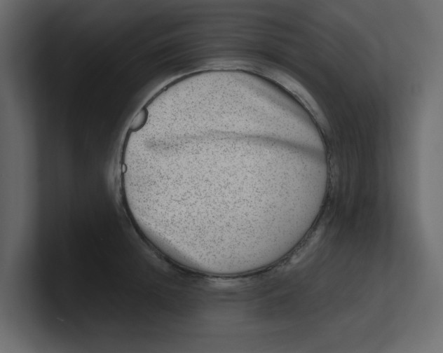 X0000100910852200807151137