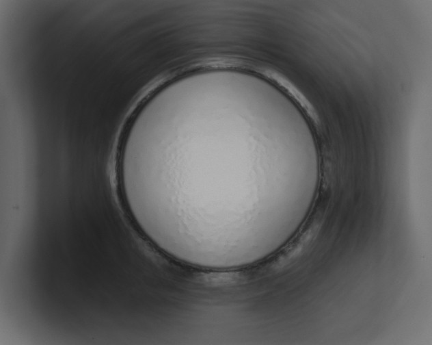 X0000100910853200807151137