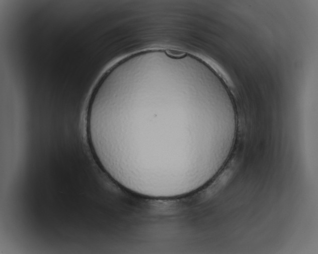 X0000100910854200807151137