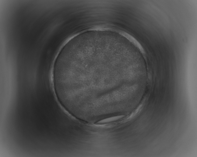 X0000100910855200807151137