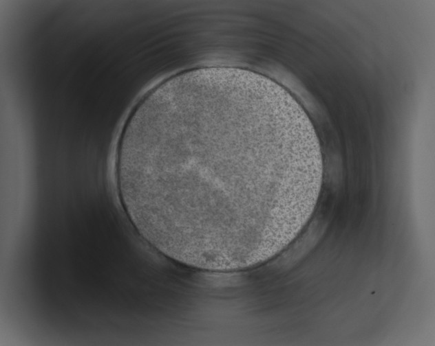 X0000100910856200807151137