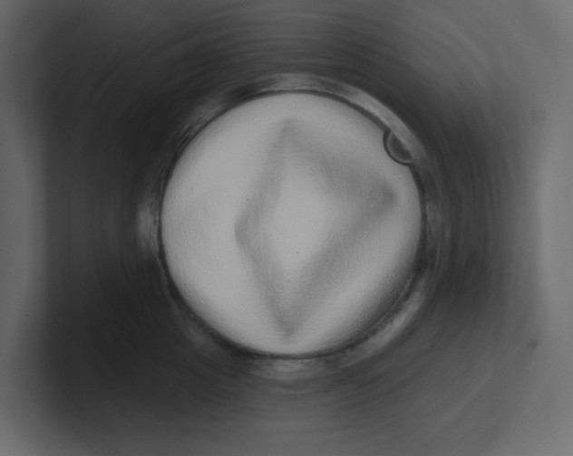 X0000100910857200807151137