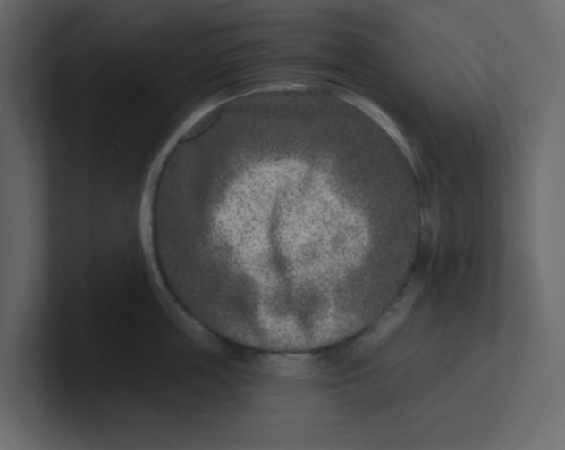 X0000100910859200807151137