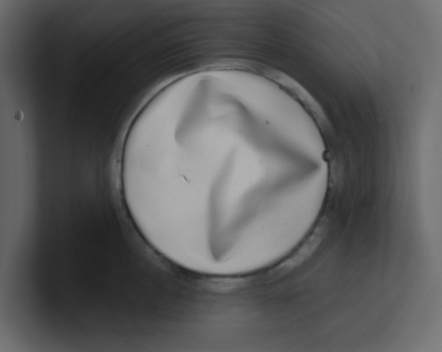 X0000100910860200807151137