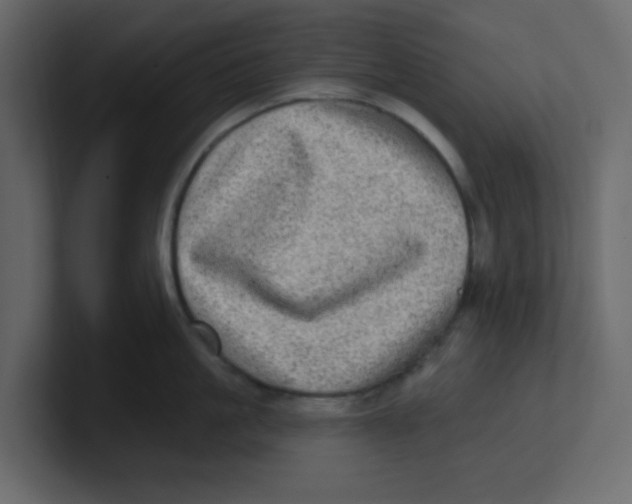 X0000100910861200807151137