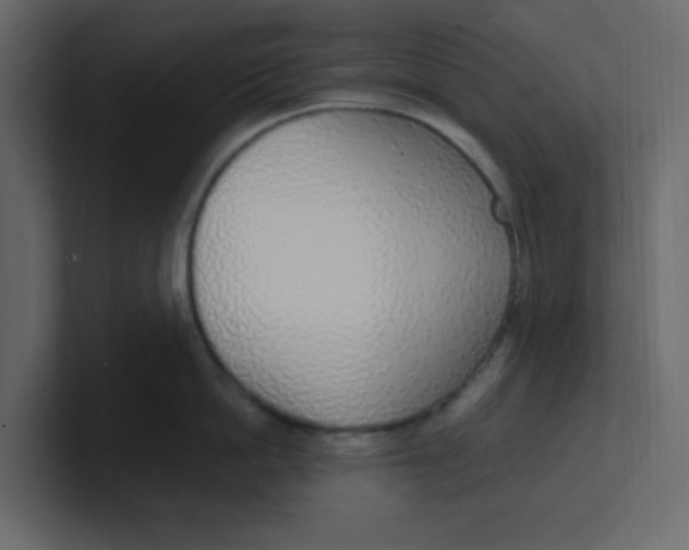 X0000100910862200807151137