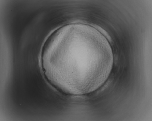 X0000100910863200807151137