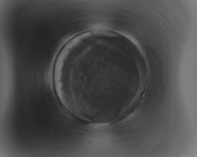 X0000100910864200807151137