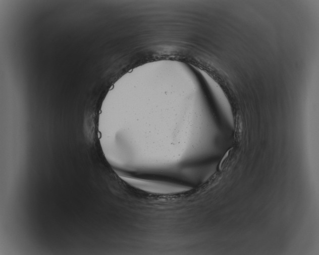 X0000100910868200807151137