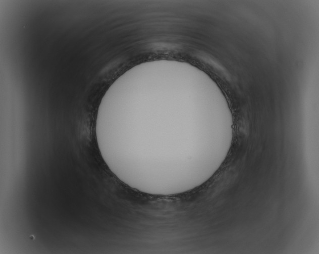 X0000100910869200807151137