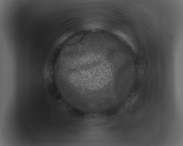 X0000100910871200807151137