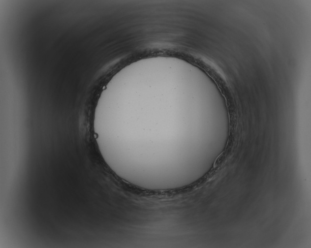 X0000100910872200807151137