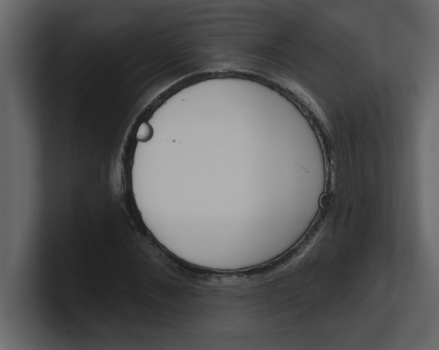 X0000100910876200807151136