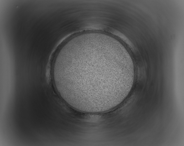 X0000100910878200807151136