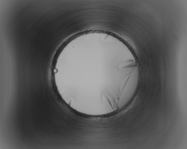 X0000100910880200807151136