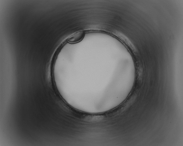 X0000100910884200807151136