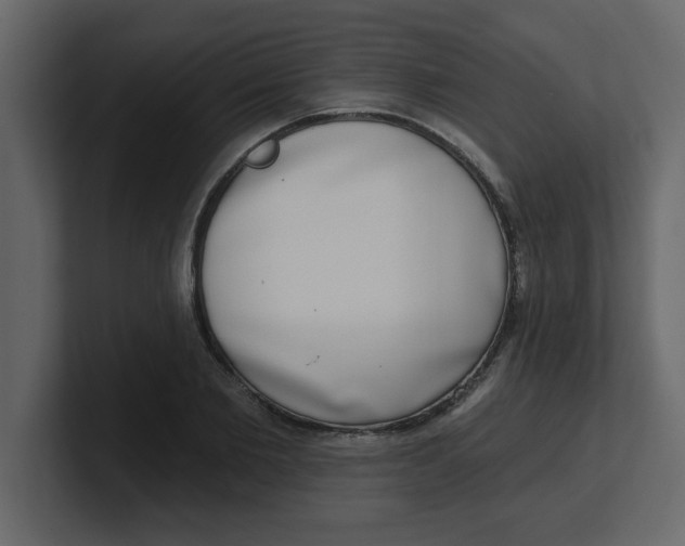 X0000100910885200807151136