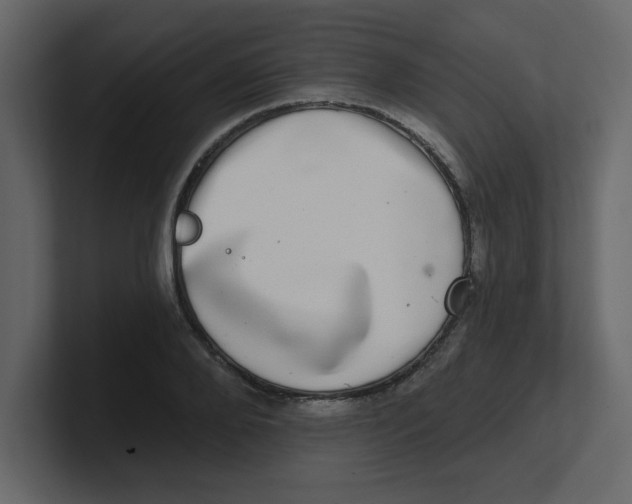 X0000100910888200807151136