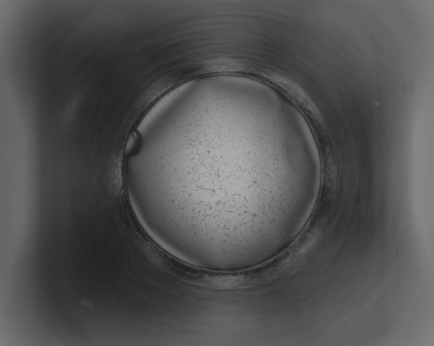 X0000100910889200807151136