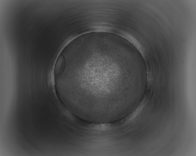 X0000100910891200807151136