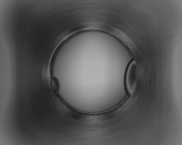 X0000100910892200807151136