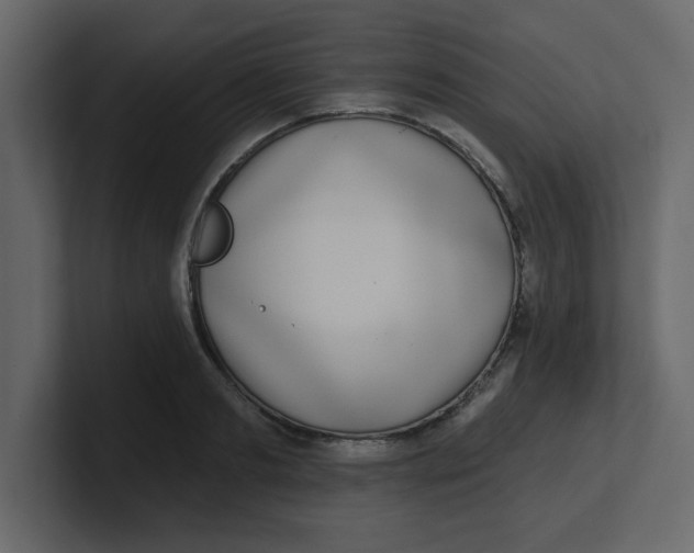 X0000100910893200807151136