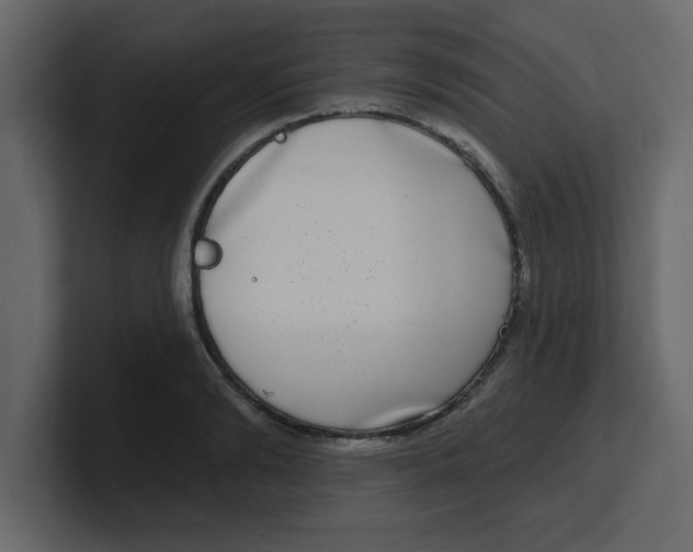 X0000100910894200807151136