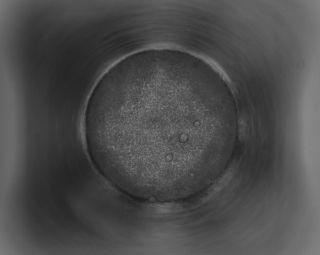 X0000100910895200807151136