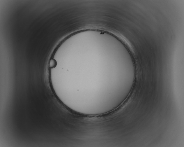 X0000100910896200807151136