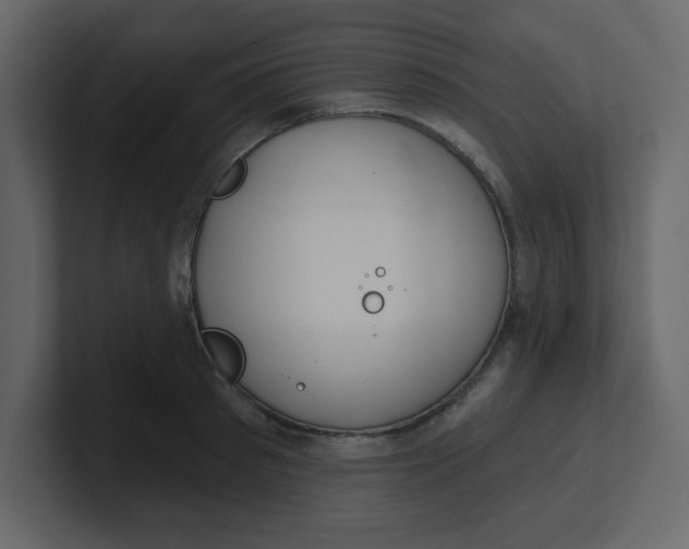 X0000100910897200807151136