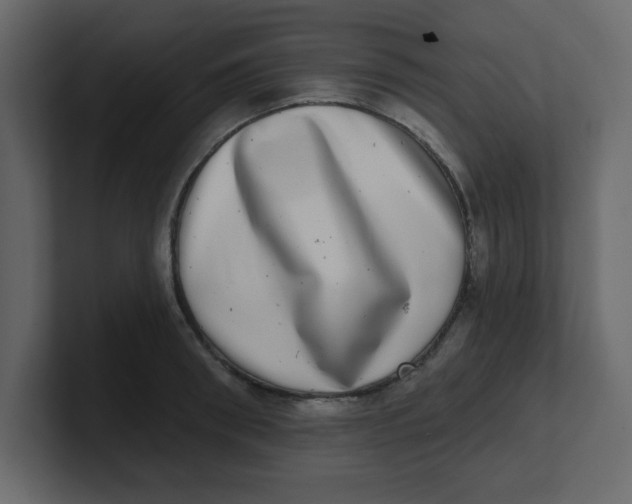 X0000100910898200807151136