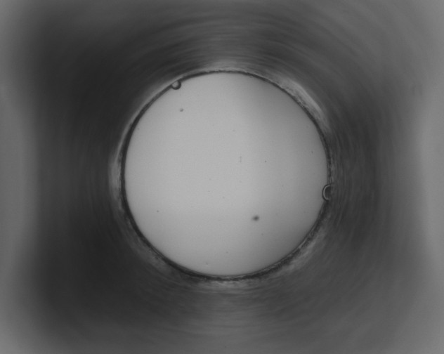 X0000100910900200807151136