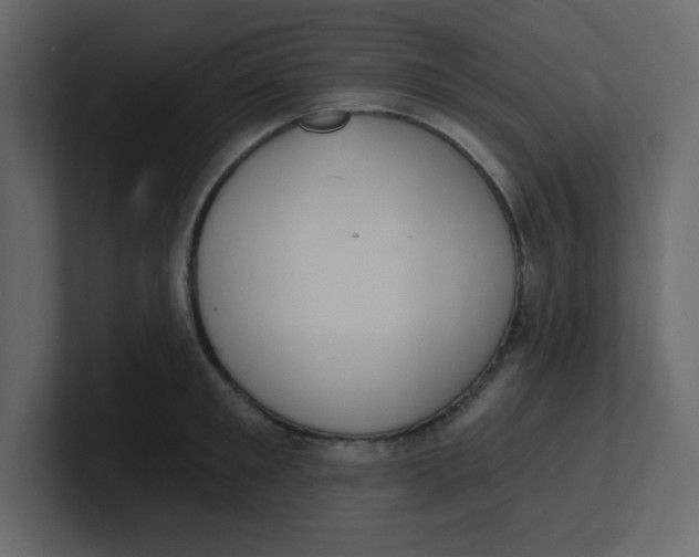 X0000100910901200807151136