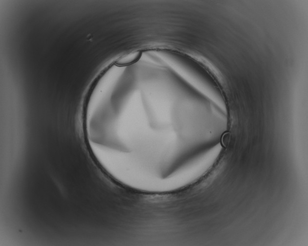 X0000100910902200807151136