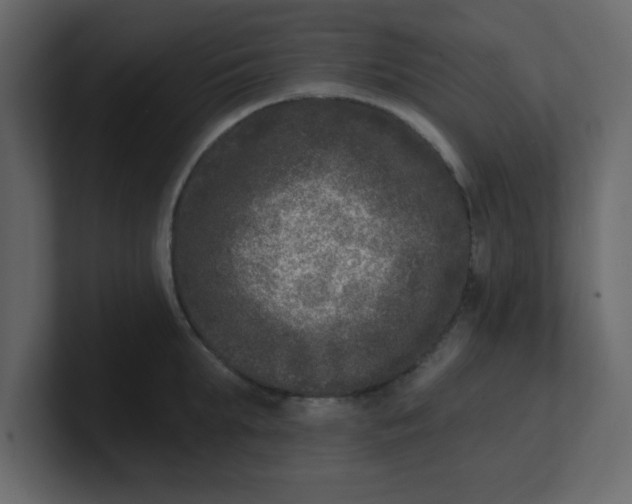 X0000100910903200807151136